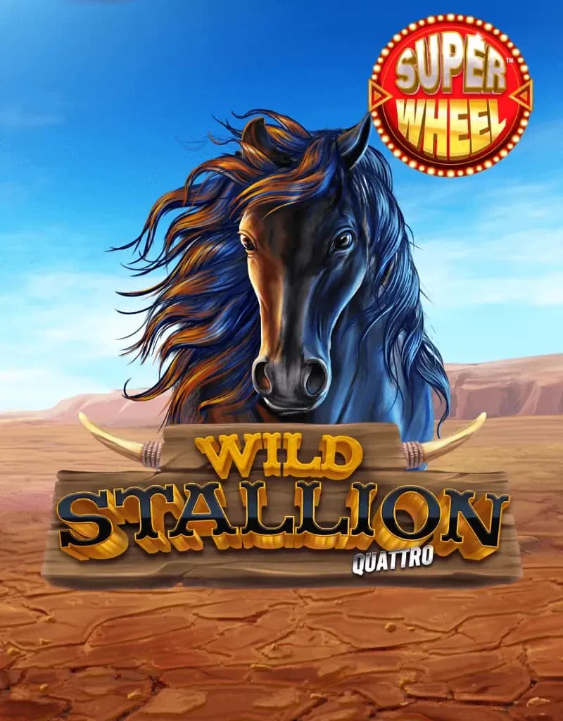 Wild Stallion
